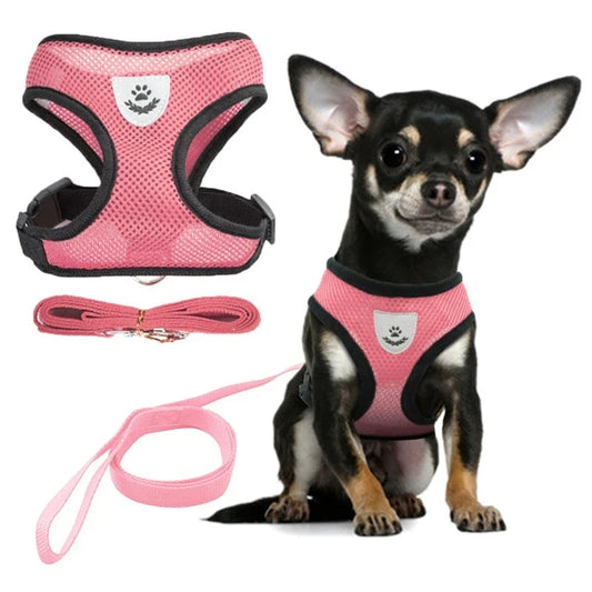 Summer Cat Dog Harness Lead Leash Adjustable
