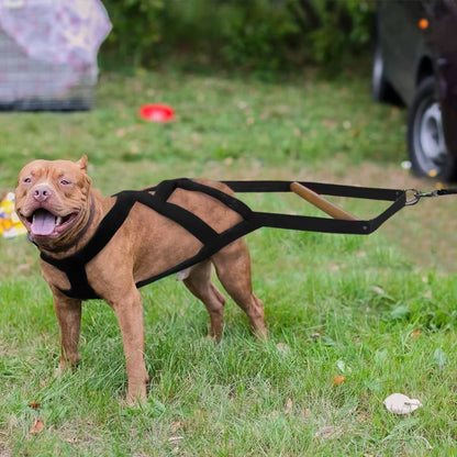 Durable Dog Sled Harness Soft Padded Dog Weight Pulling Harness Pet Training Agility Equipment Dogs Sledding Skijoring Harness